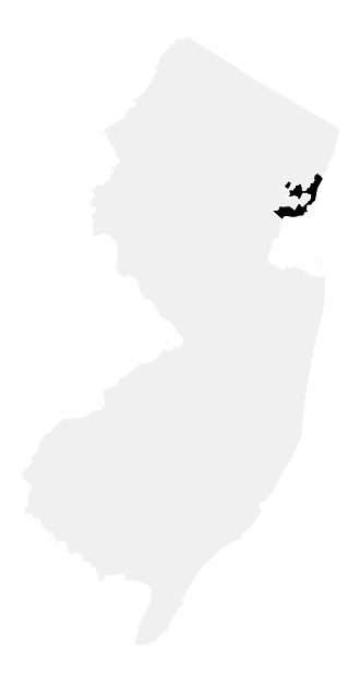 A map of the New Jersey, District 8.