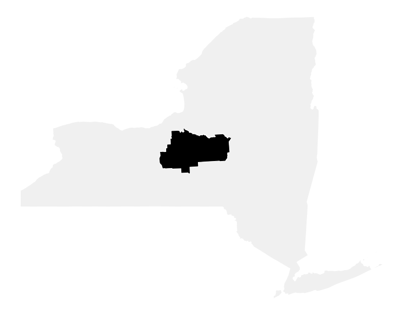 A map of the New York, District 22.