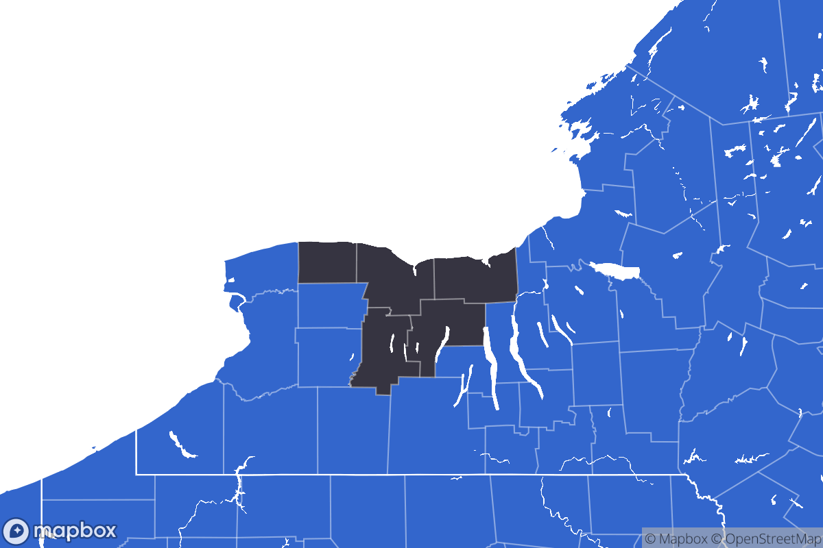 A map of the Rochester Metro Area showing the counties in the area.