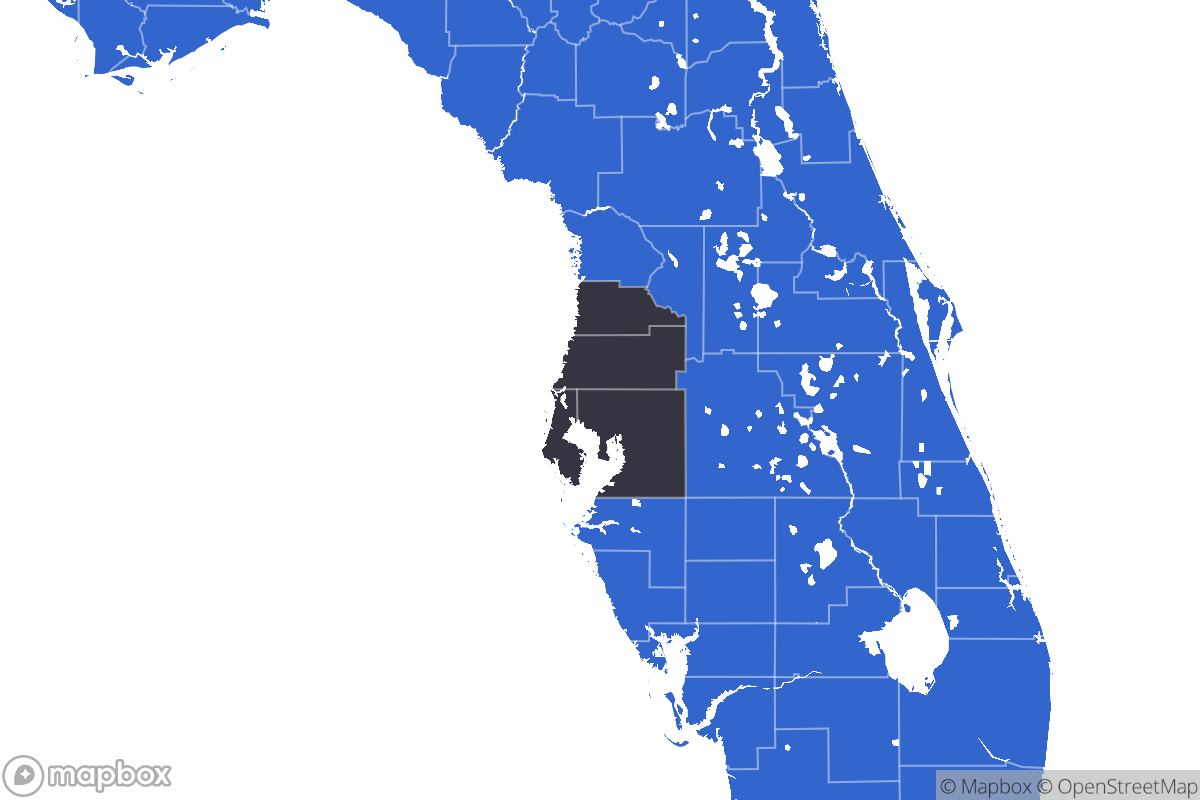 A map of the Tampa Metro Area showing the counties in the area.